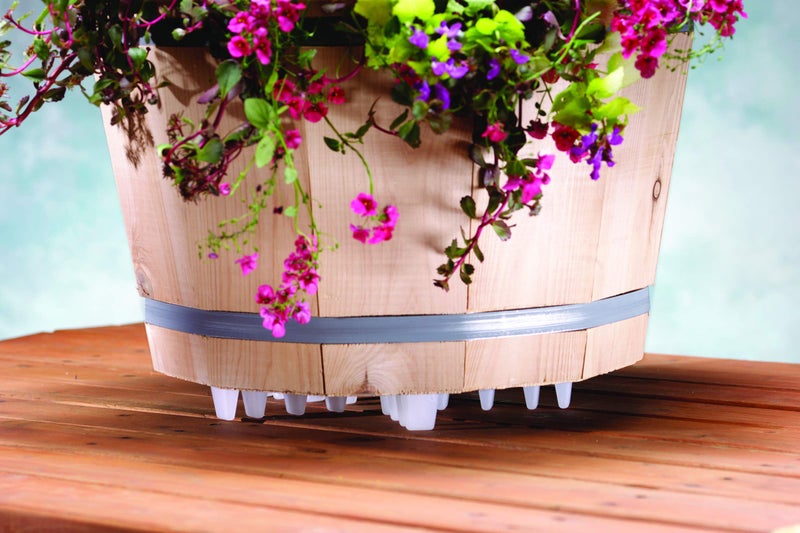 Bosmere Down Under Plant Stand,12", Clear - Image 3